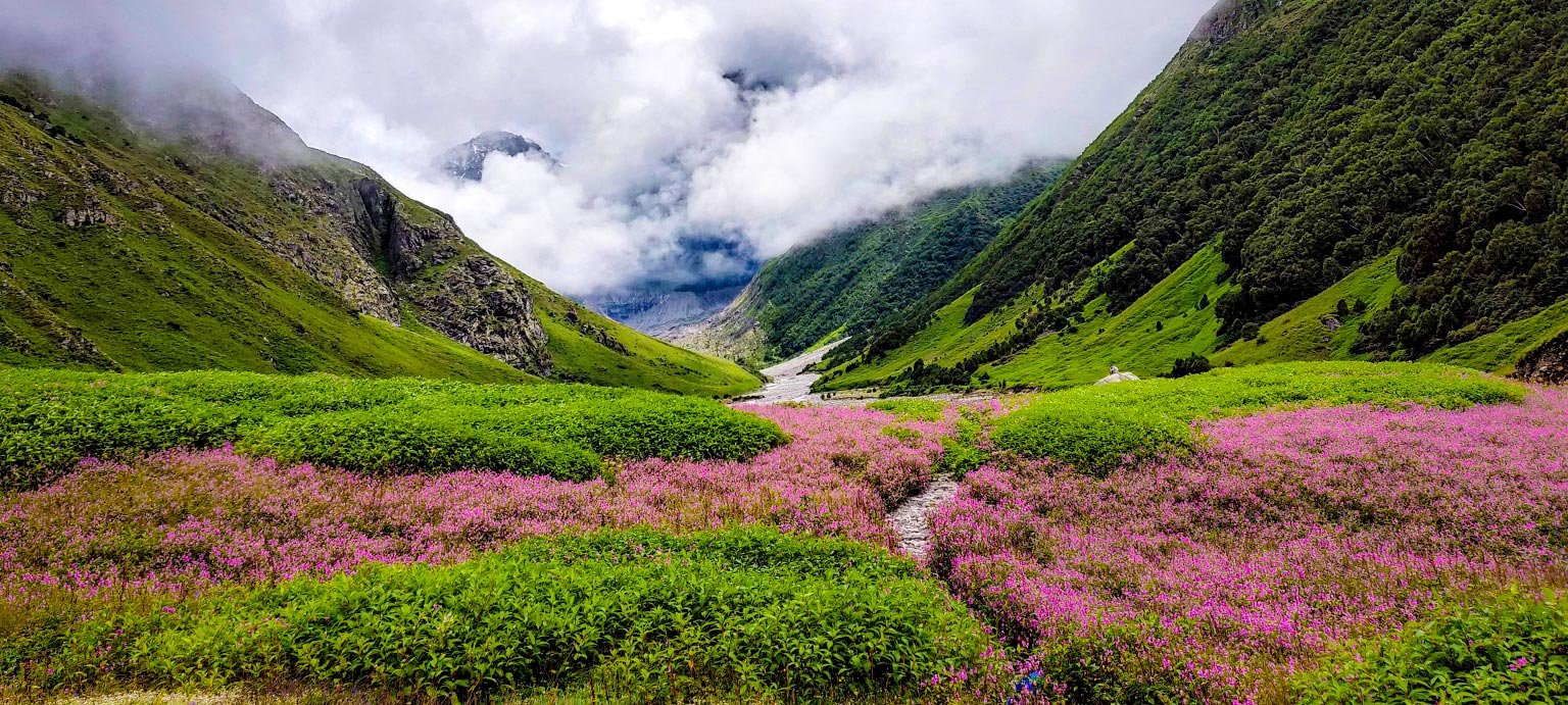 Valley of Flowers uttrakhand