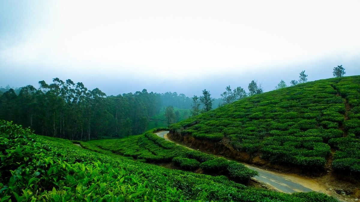 hill stations near Bangalore